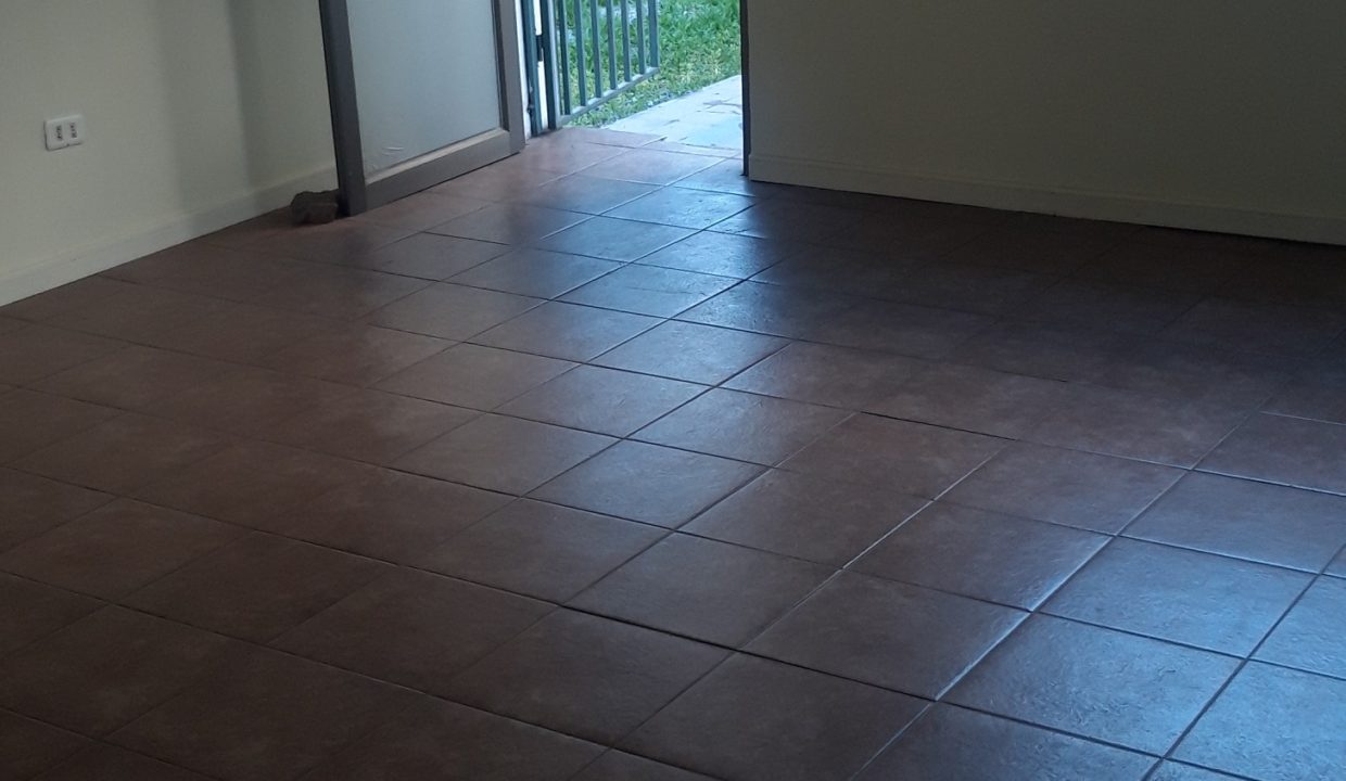 Salida  a Patio